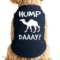 HUMP DAY Funny Doggie Tank thumb 0