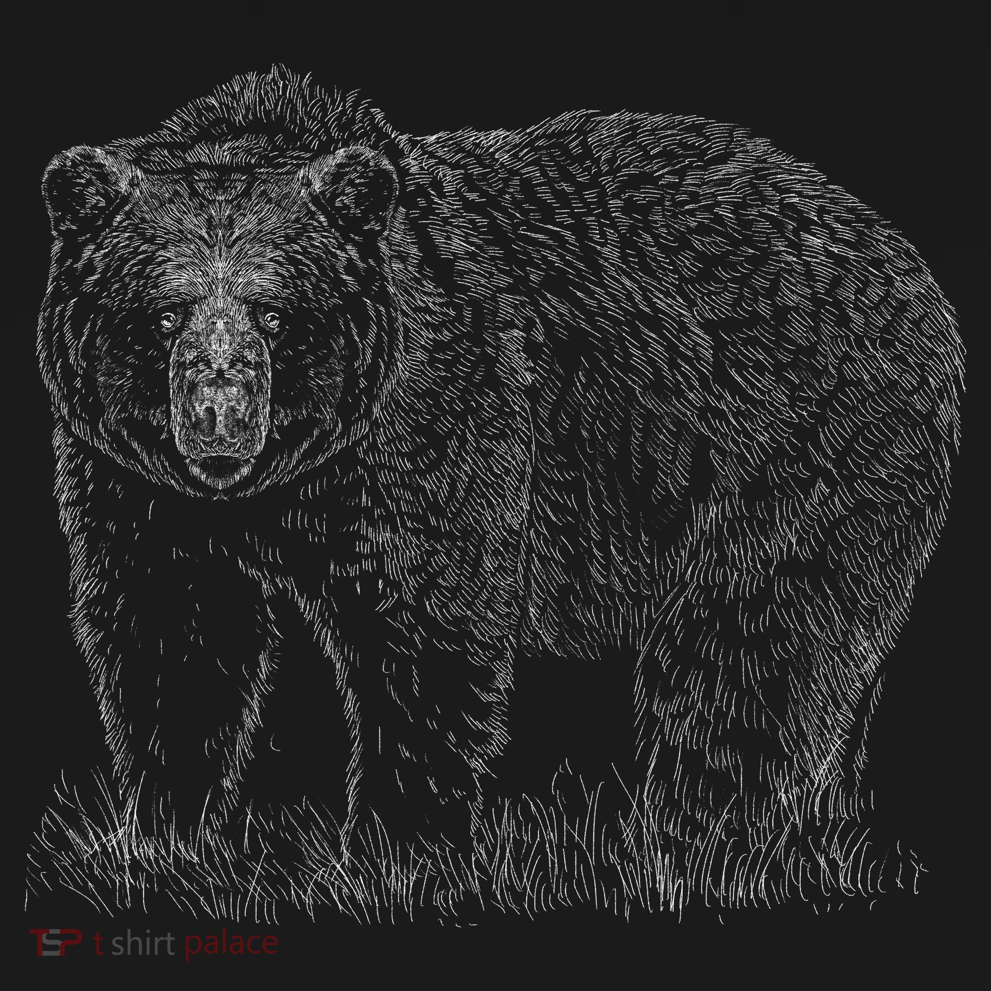 Hand Drawn Grizzly Bear Pajama Set