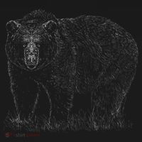 Hand Drawn Grizzly Bear Polo thumb 3