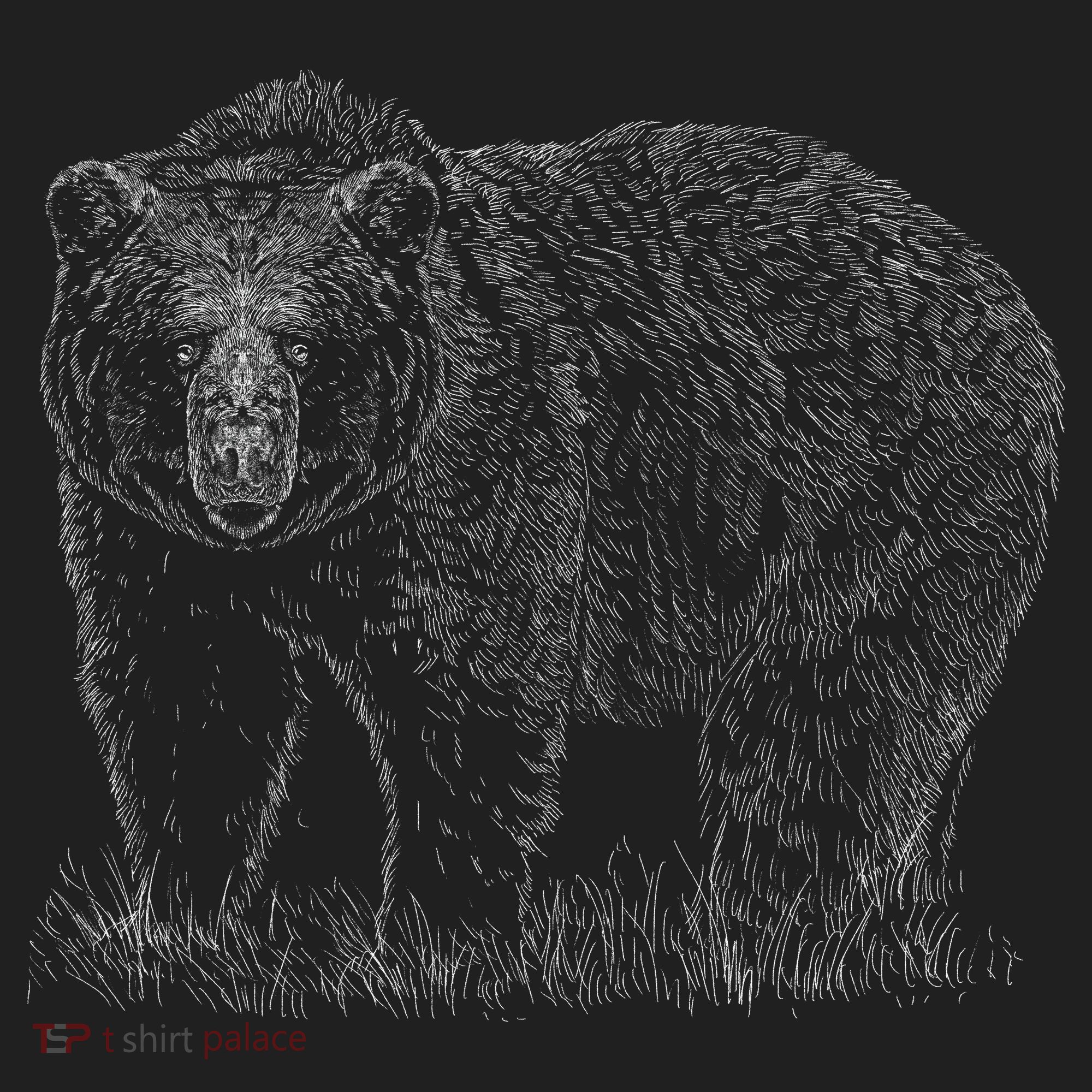 Hand Drawn Grizzly Bear Hat