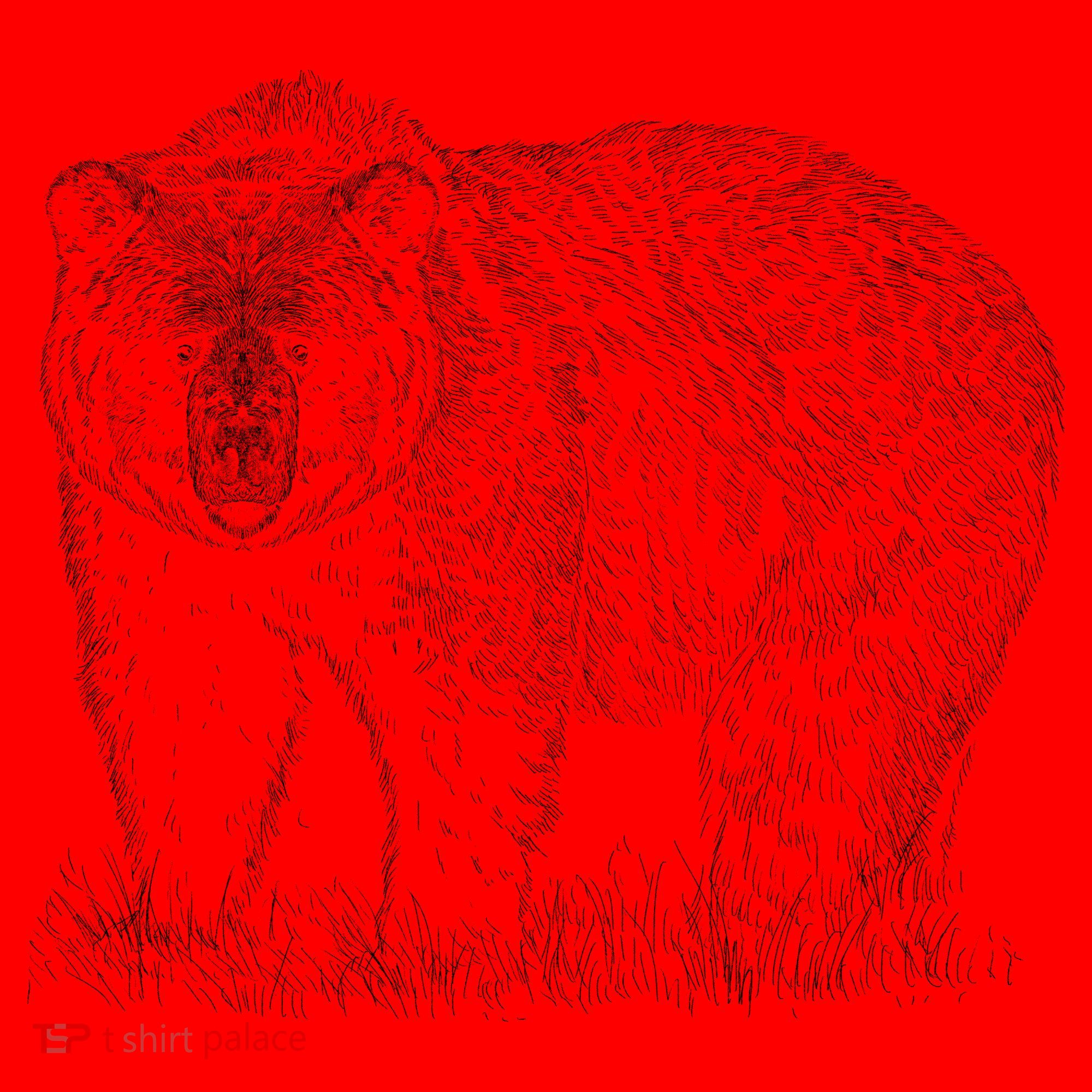 Hand Drawn Grizzly Bear Santa Hat
