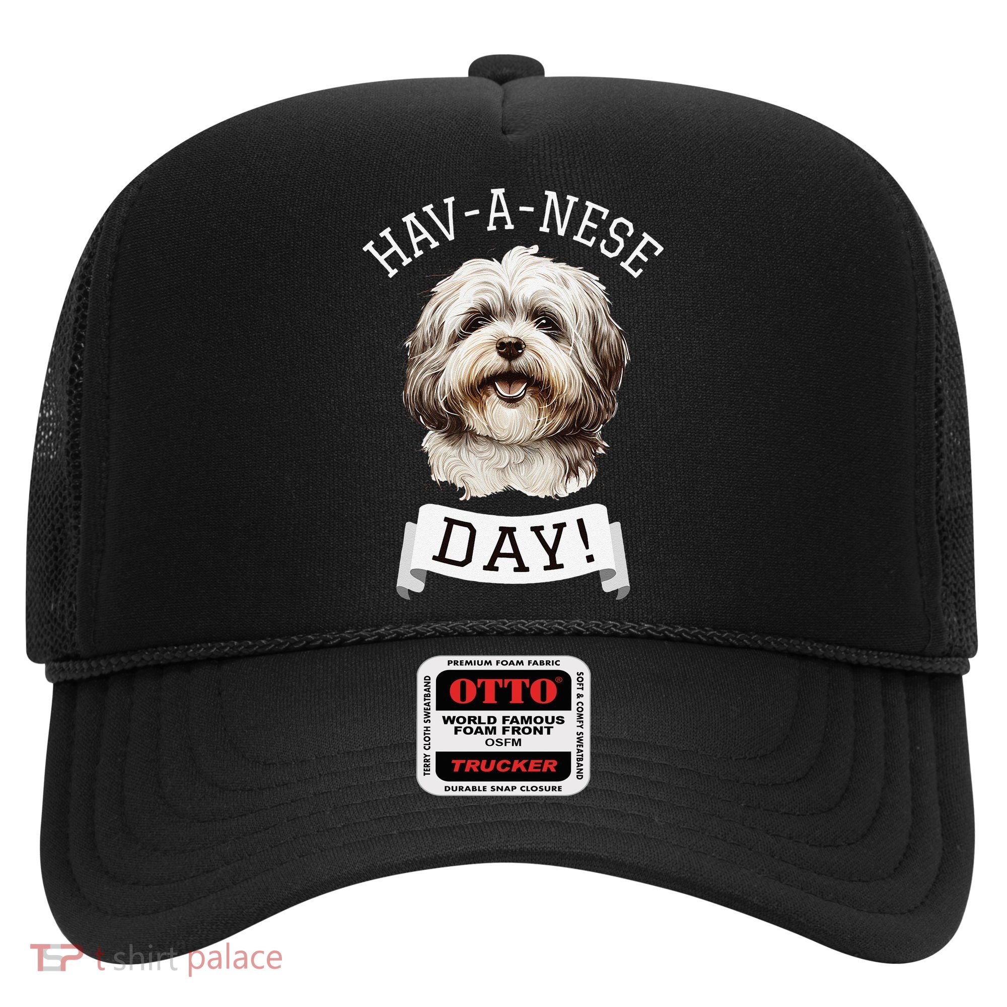 HavANese Day! Havanese Dog Lovers Funny Gift Hat