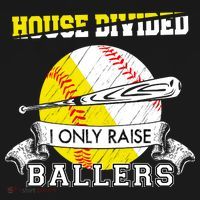 House Divided I Only Raise Ballers Baseball Softball Mom And Dad Ornament thumb 1