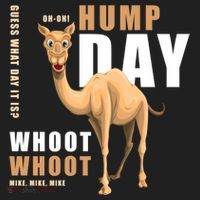 Hump Day Meaningful Gift Guess What Day It Is Gift Beanie thumb 2