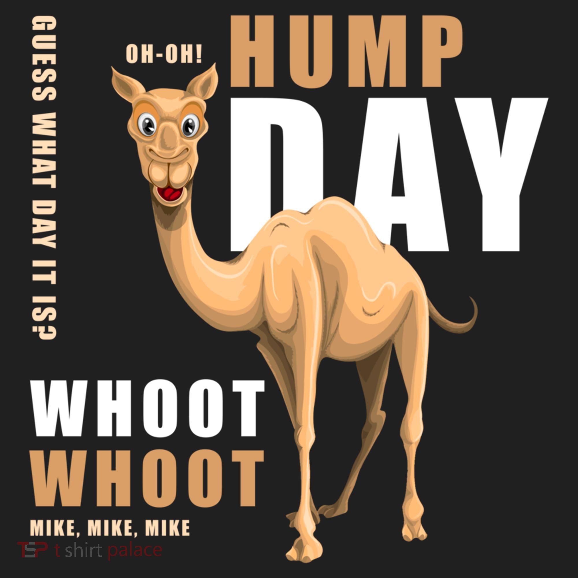 Hump Day Meaningful Gift Guess What Day It Is Gift Beanie