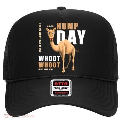Hump Day Meaningful Gift Guess What Day It Is Gift Hat