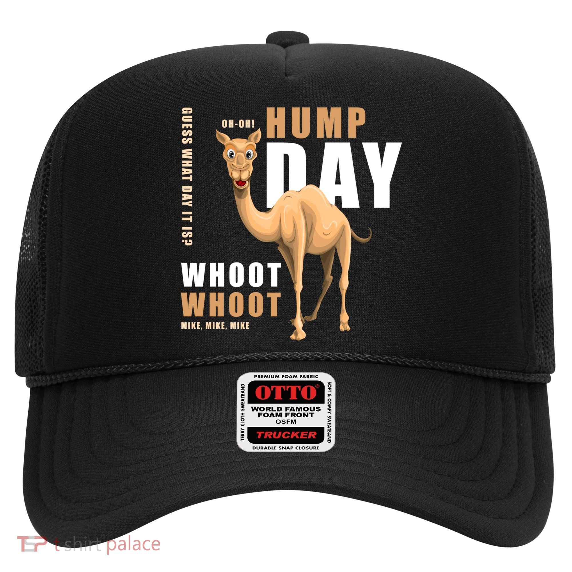 Hump Day Meaningful Gift Guess What Day It Is Gift Hat