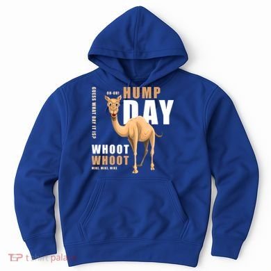 Hump Day Meaningful Gift Guess What Day It Is Gift Hoodie