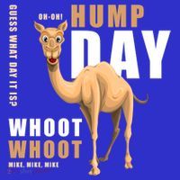 Hump Day Meaningful Gift Guess What Day It Is Gift Mousepad thumb 1