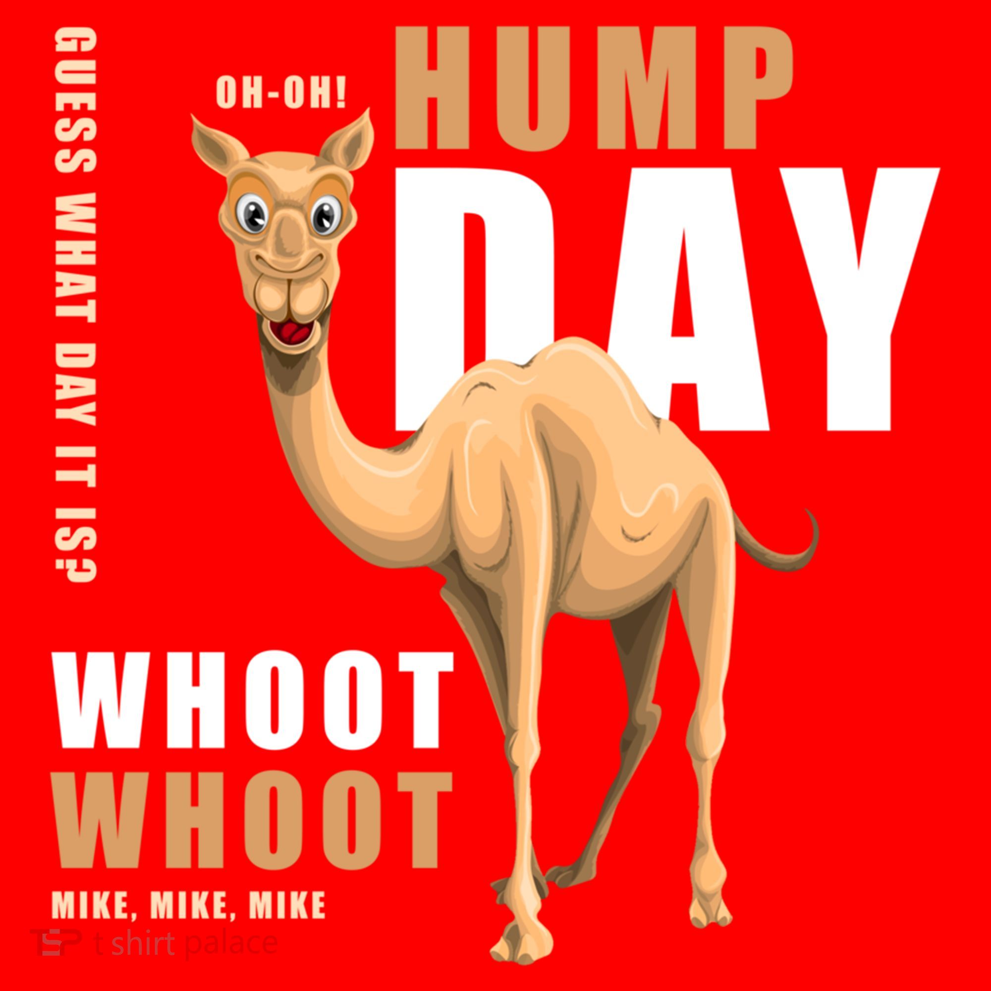 Hump Day Meaningful Gift Guess What Day It Is Gift Santa Hat