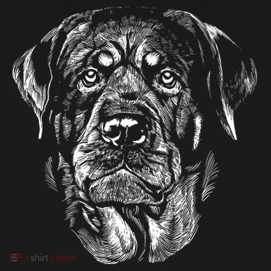 Hand Drawn Rottweiler Dog 16 in Basic Backpack