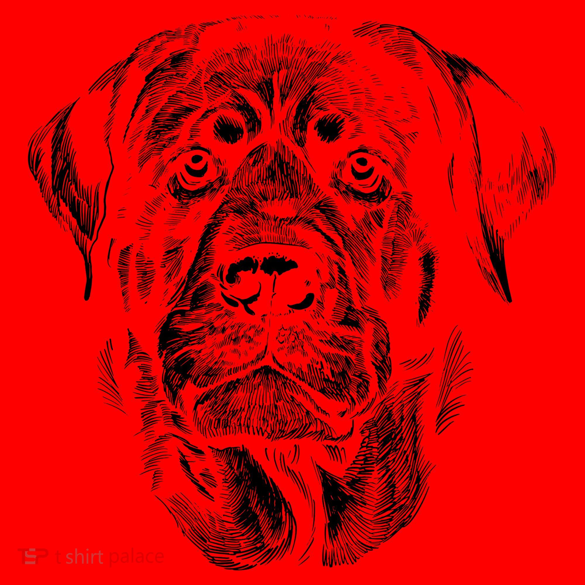 Hand Drawn Rottweiler Dog Santa Hat