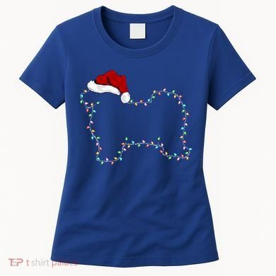 Havanese Dog Xmas Lighting Santa Hat Havanese Christmas Gift Women's T-Shirt