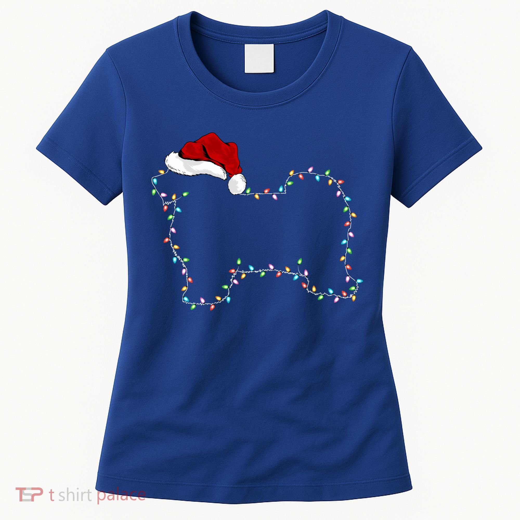 Havanese Dog Xmas Lighting Santa Hat Havanese Christmas Gift Women's T-Shirt