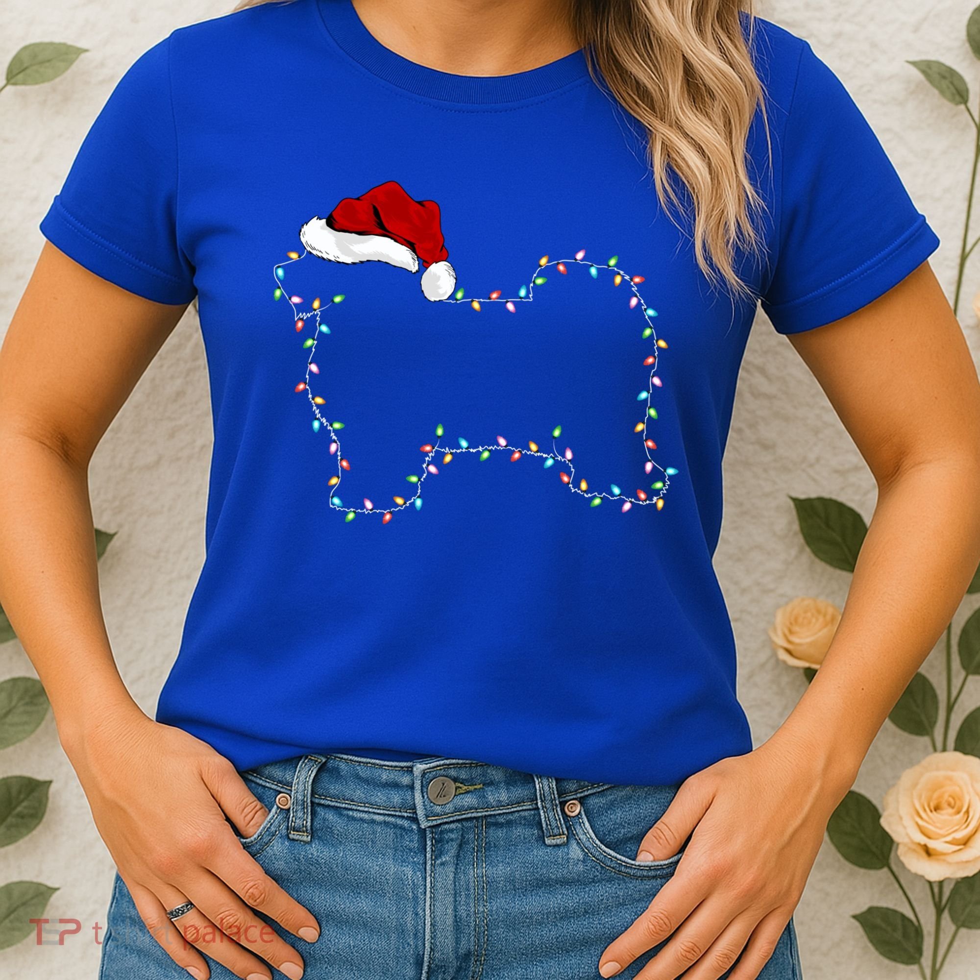 Havanese Dog Xmas Lighting Santa Hat Havanese Christmas Gift Women's T-Shirt