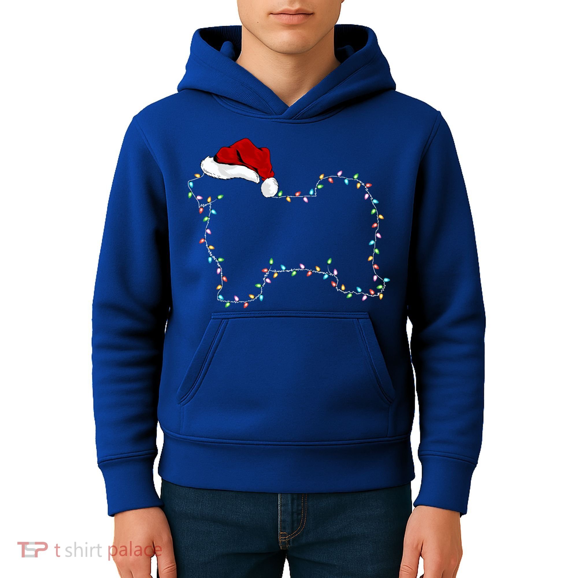 Havanese Dog Xmas Lighting Santa Hat Havanese Christmas Gift Kids Hoodie