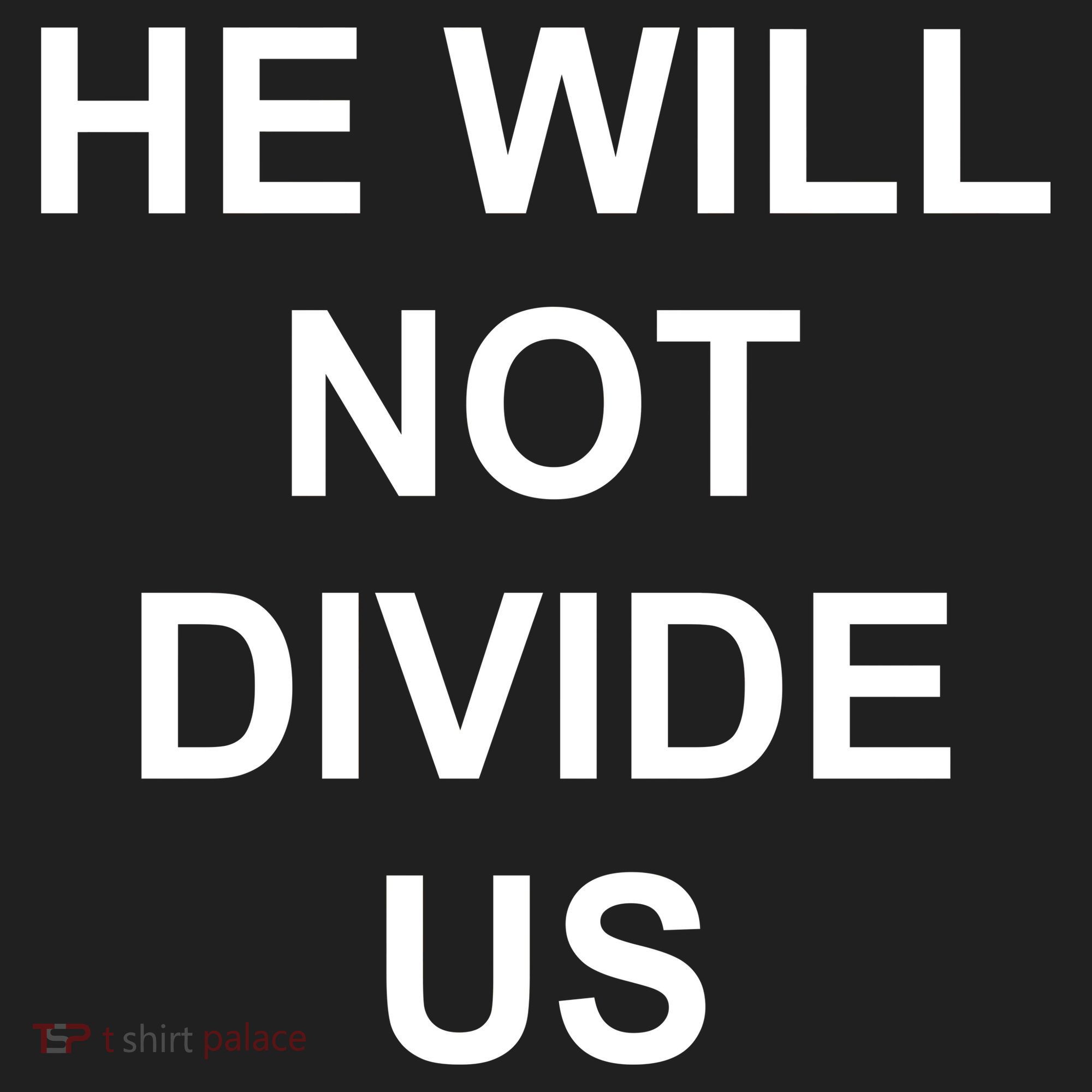 He Will Not Divide US Anti Trump Protest Beanie