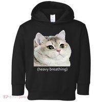 Heavy Breathing Cat Toddler Hoodie thumb 0