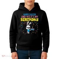 Happy Easter Birthday Bunny Cake Bday Party Kids Hoodie thumb 4