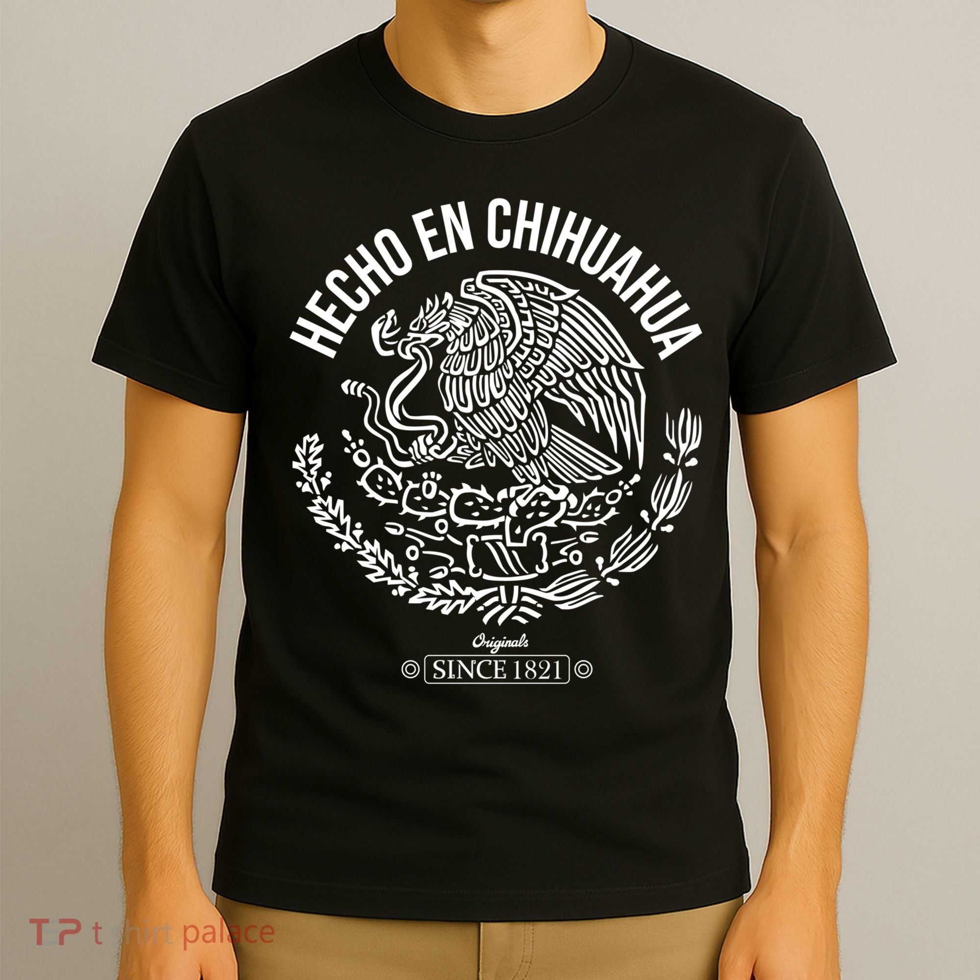 Hecho En Chihuahua Meaningful Gift Cinco De Mayo Mexico Mexican Day Cool Gift T-Shirt