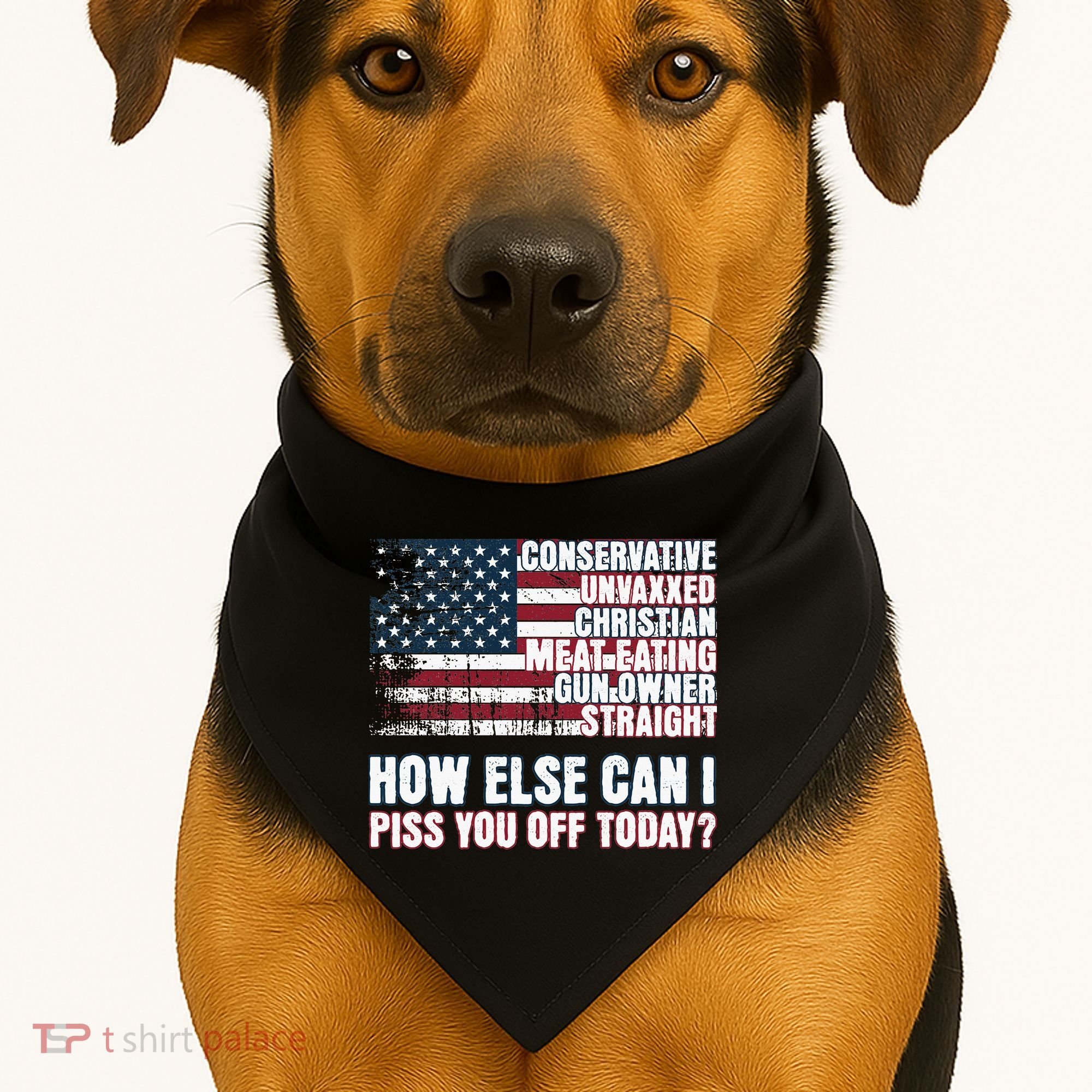 How Else Can I Piss You Off Today Us Flag USA-Made Doggie Bandana