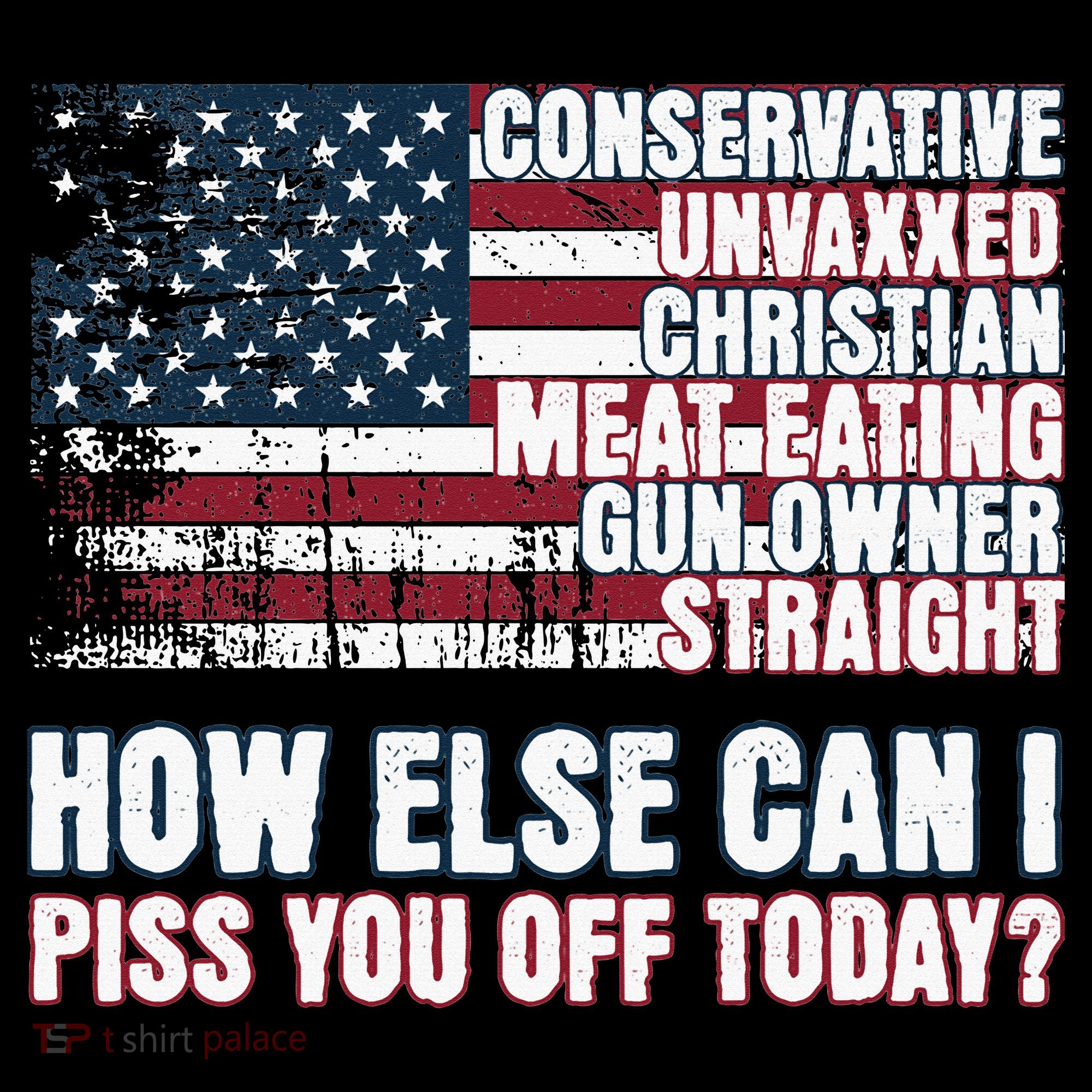 How Else Can I Piss You Off Today Us Flag T-Shirt
