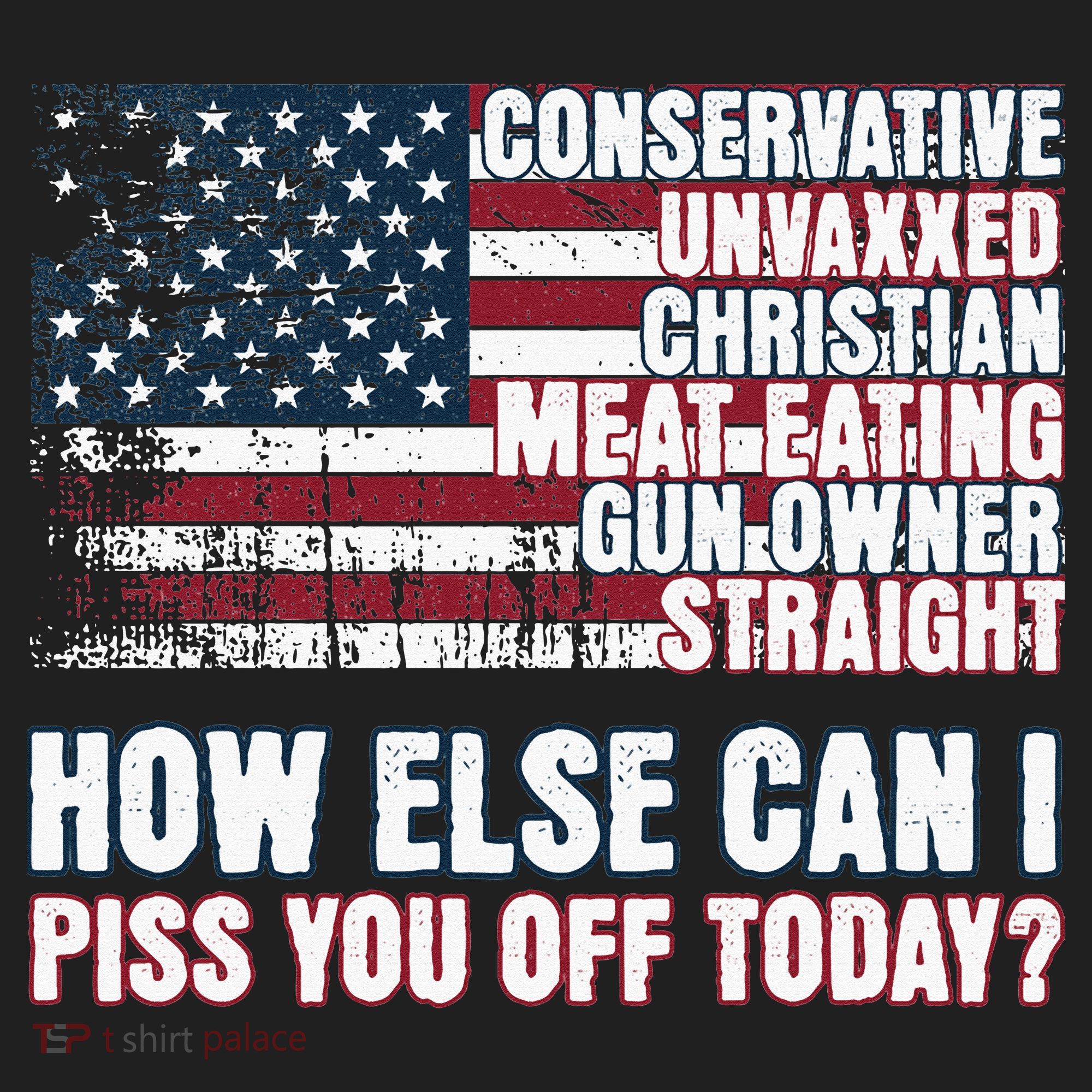 How Else Can I Piss You Off Today Us Flag Beanie