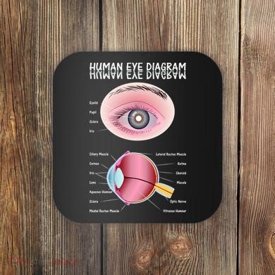 Human Eye Diagram Coaster