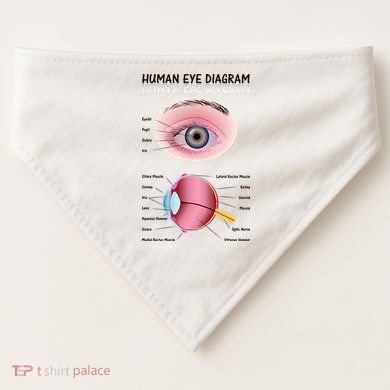 Human Eye Diagram USA-Made Doggie Bandana