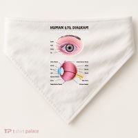 Human Eye Diagram USA-Made Doggie Bandana thumb 0