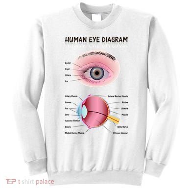 Human Eye Diagram Sweatshirt