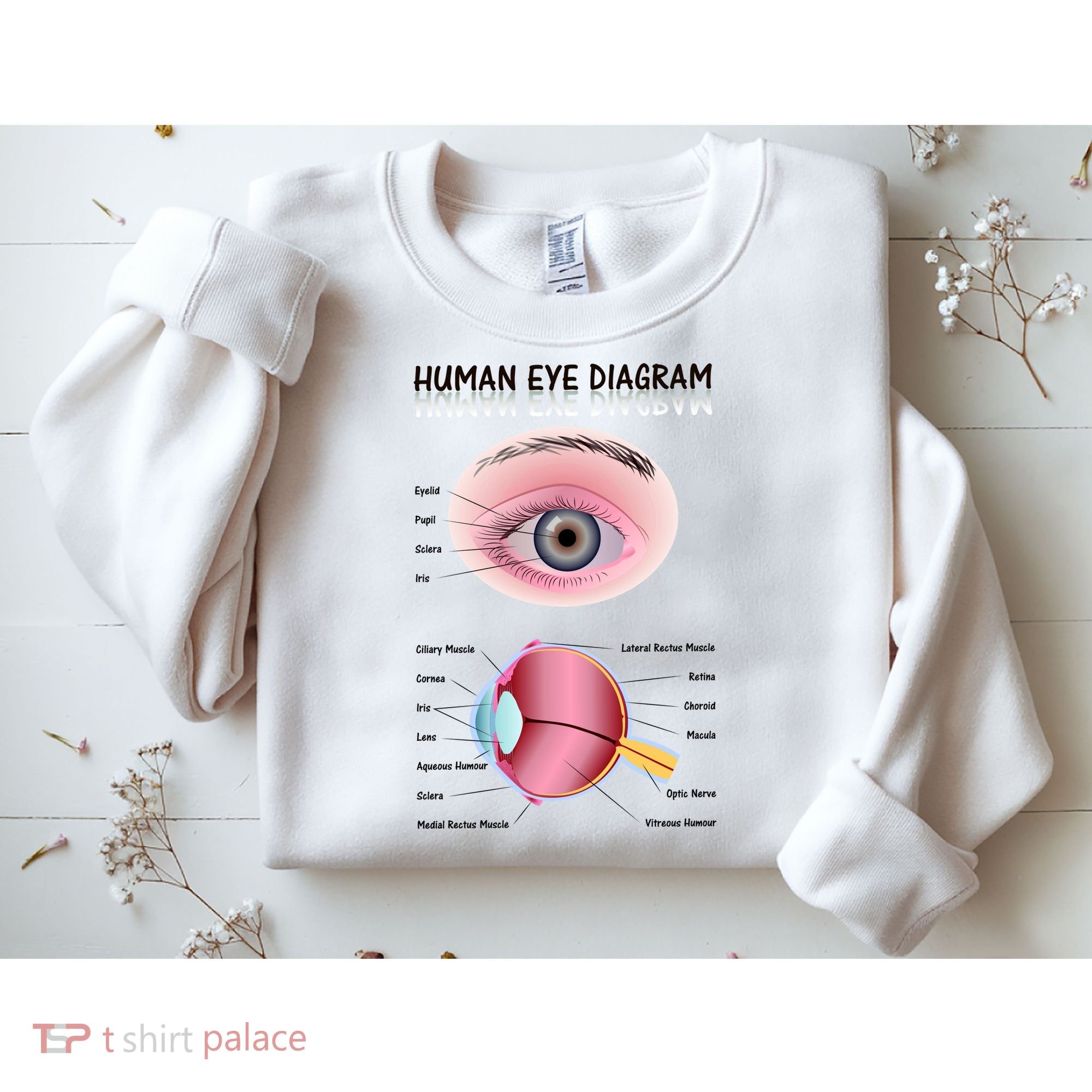 Human Eye Diagram Sweatshirt