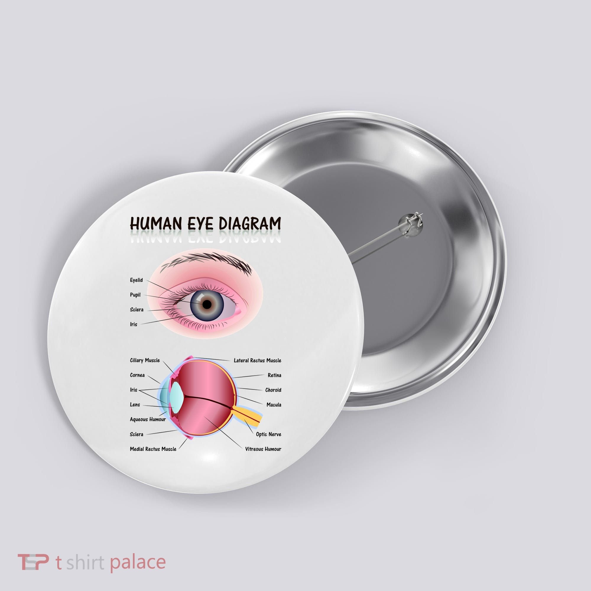 Human Eye Diagram Button