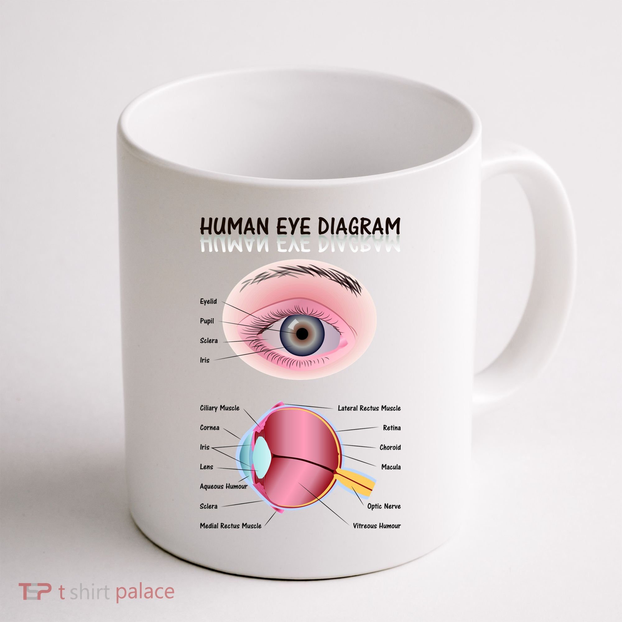 Human Eye Diagram Coffee Mug
