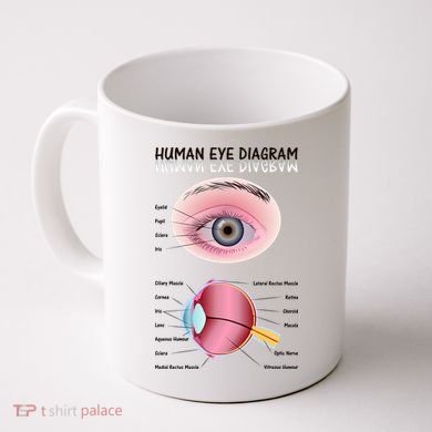 Human Eye Diagram Coffee Mug