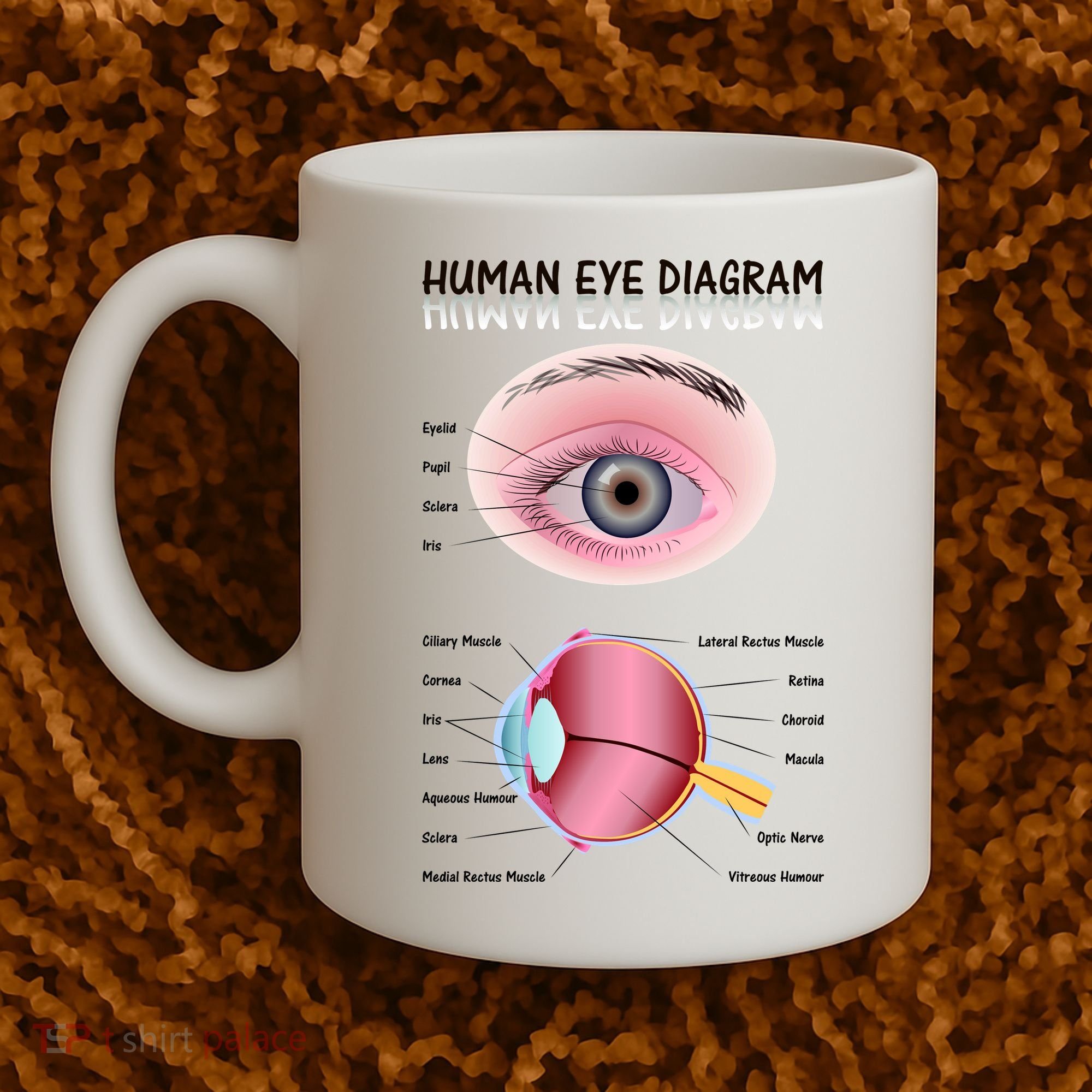 Human Eye Diagram Coffee Mug