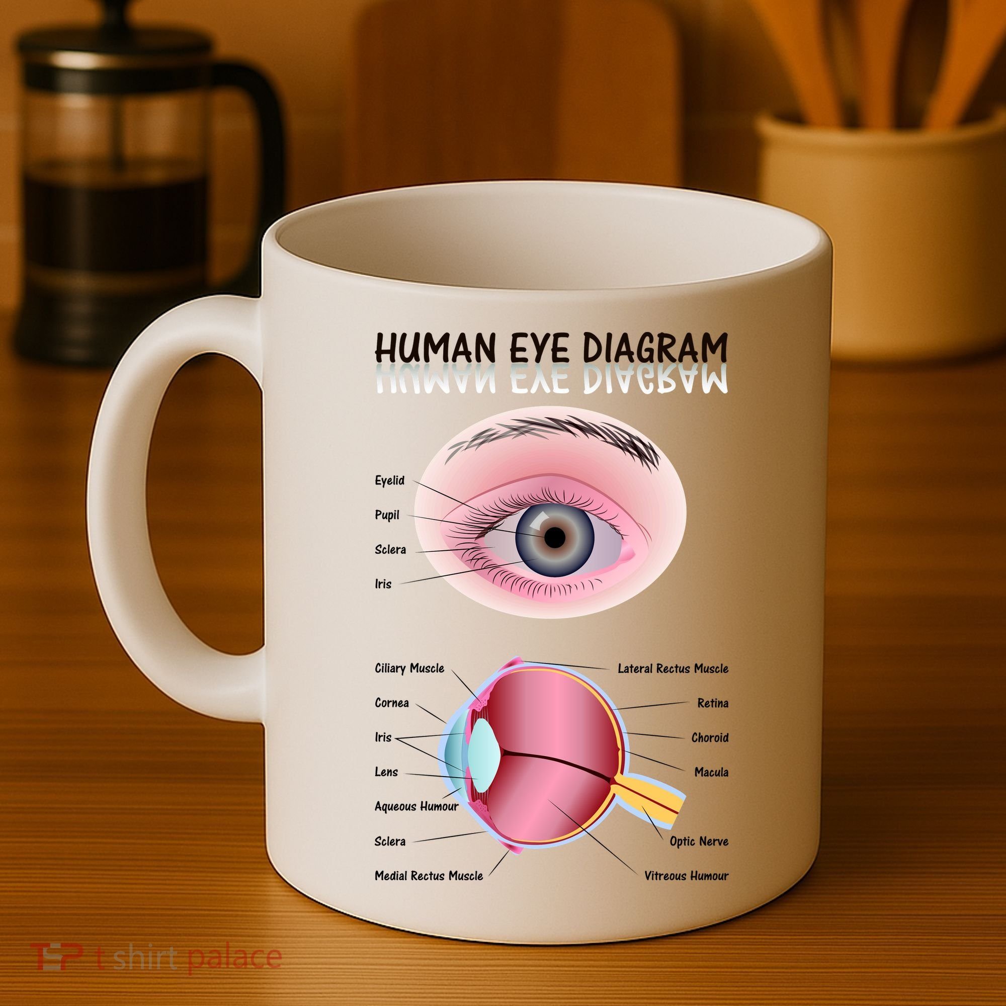 Human Eye Diagram Coffee Mug