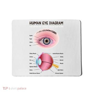 Human Eye Diagram Mousepad