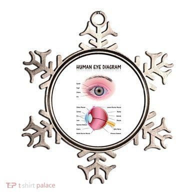 Human Eye Diagram Ornament