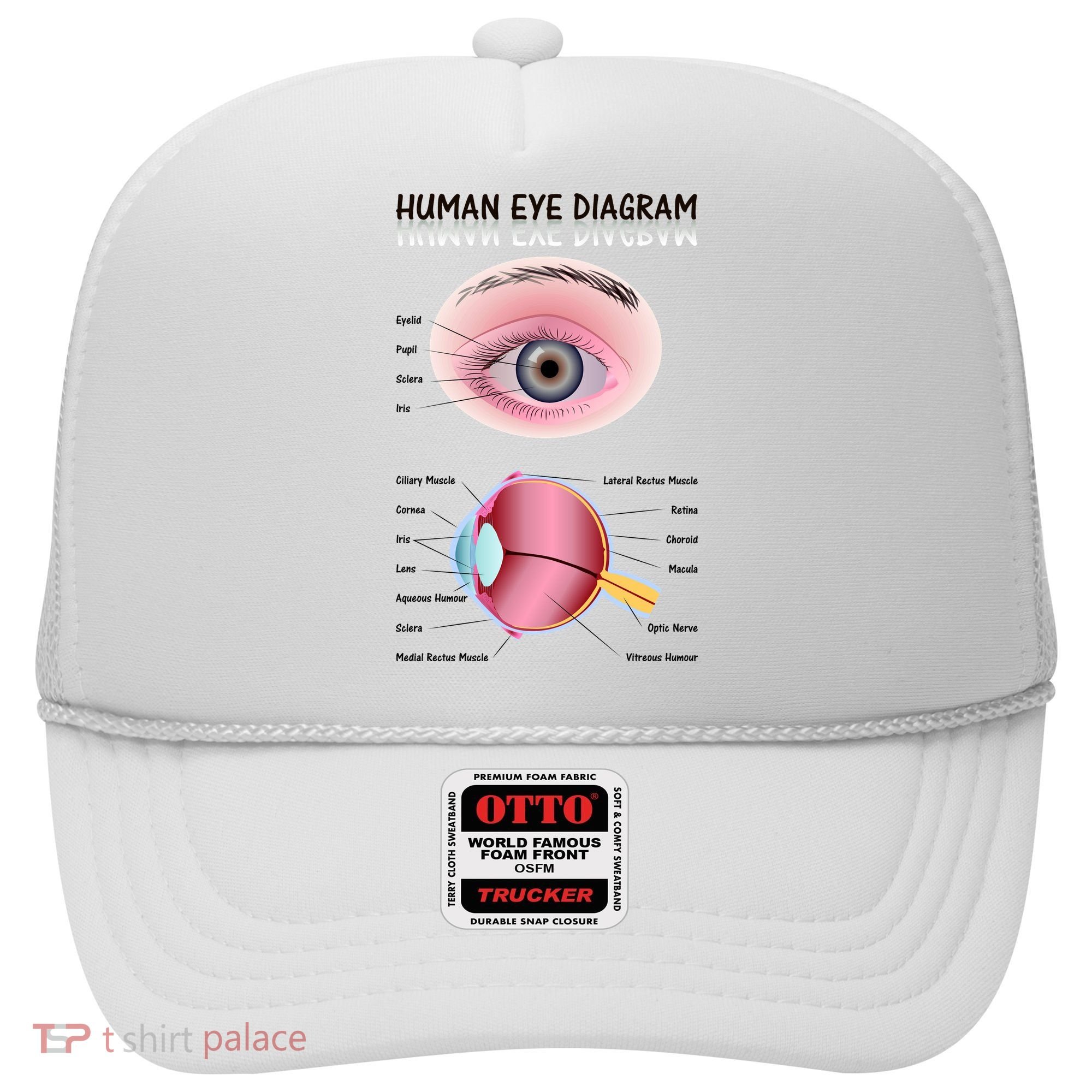 Human Eye Diagram Hat