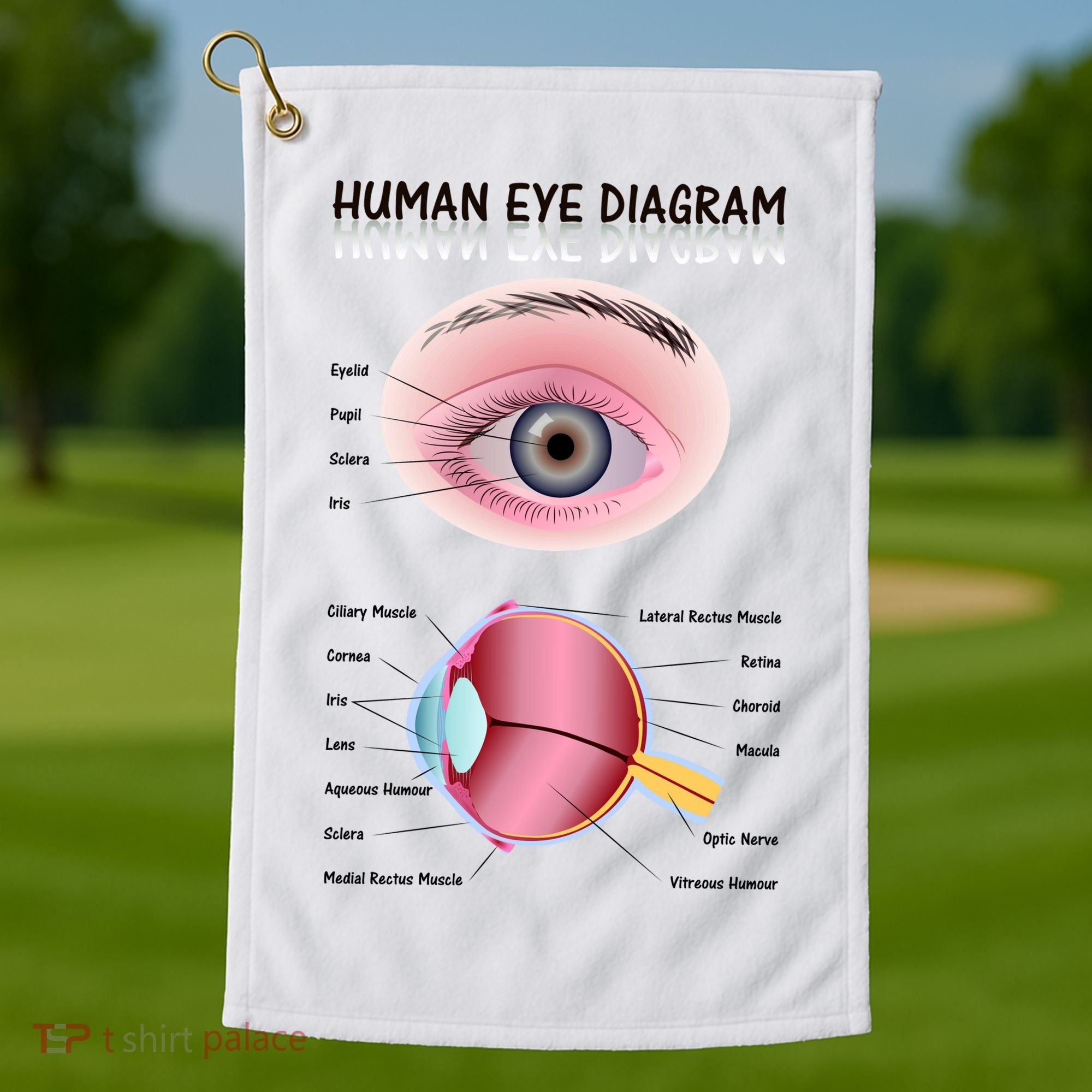 Human Eye Diagram Golf Towel