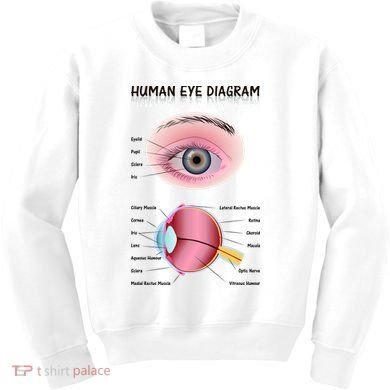 Human Eye Diagram Kids Sweatshirt