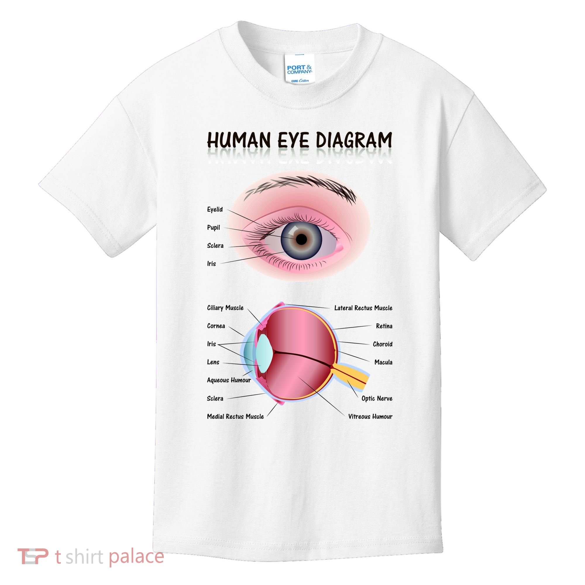 Human Eye Diagram Kids T-Shirt