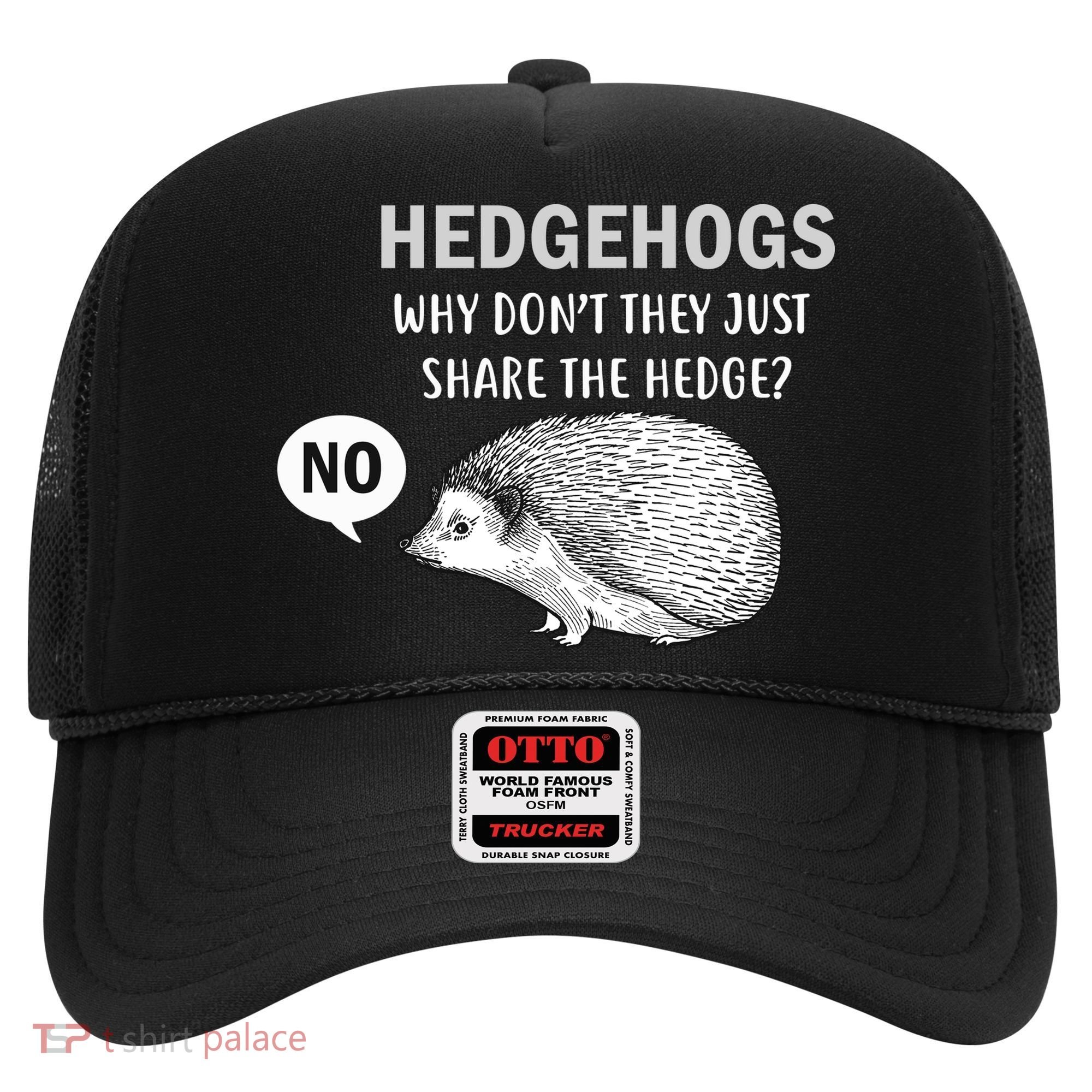 Hedgehogs Can't Share Hat