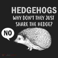 Hedgehogs Can't Share Hat thumb 2
