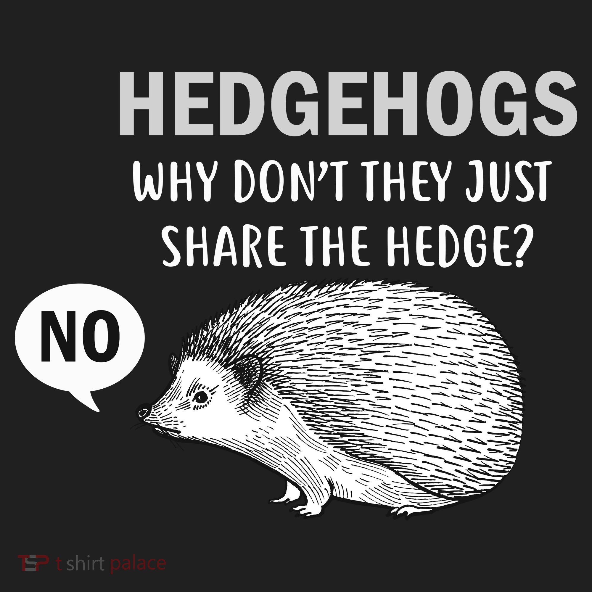 Hedgehogs Can't Share Hat