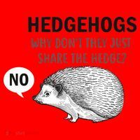 Hedgehogs Can't Share Santa Hat thumb 1