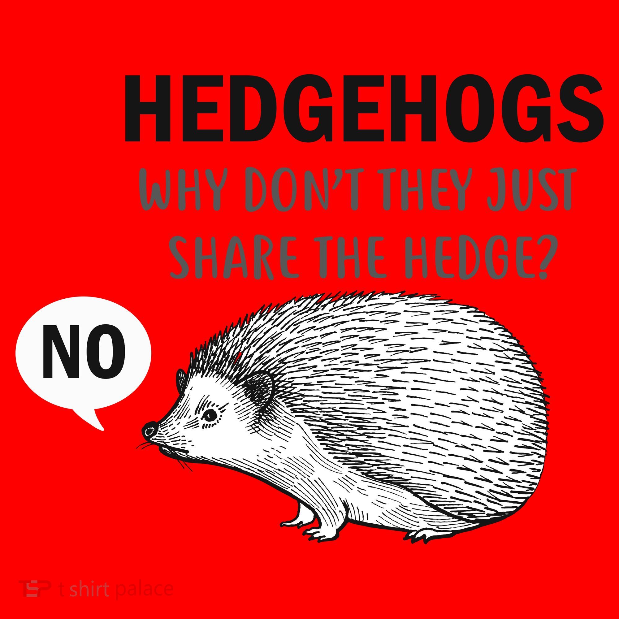 Hedgehogs Can't Share Santa Hat