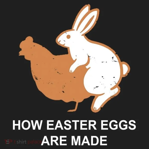 How Easter Eggs Are Made Funny Sarcastic Tumbler