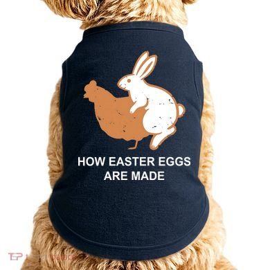 How Easter Eggs Are Made Funny Sarcastic Doggie Tank